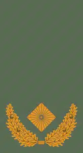 dienstgradabzeichen-heer-brigadegeneral-feldanzug