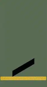 dienstgradabzeichen-heer-gefreiter-feldwebelanwaerter-feldanzug