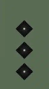 dienstgradabzeichen-heer-hauptmann-feldanzug