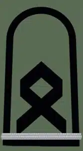 dienstgradabzeichen-heer-oberfaehnrich-feldanzug