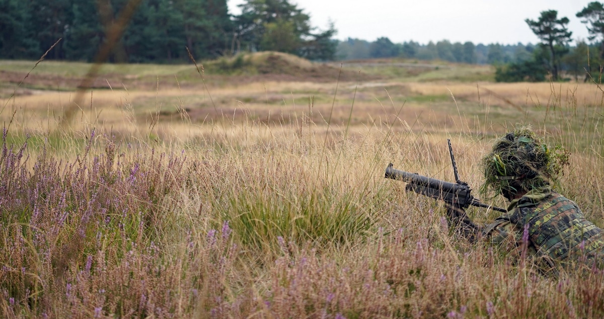 Grapi in der Heide